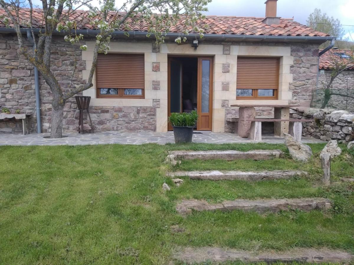 Apartmán Casa Miguel Olea Exteriér fotografie
