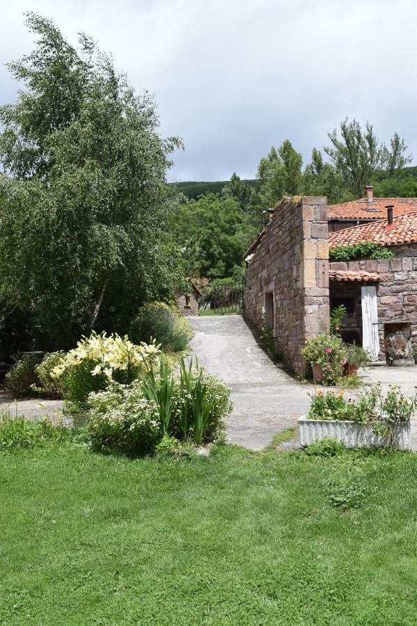 Apartmán Casa Miguel Olea Exteriér fotografie